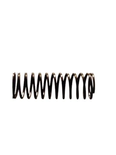 145005-Spring, W20