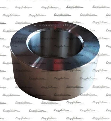 145009-Tappet roller, W20
