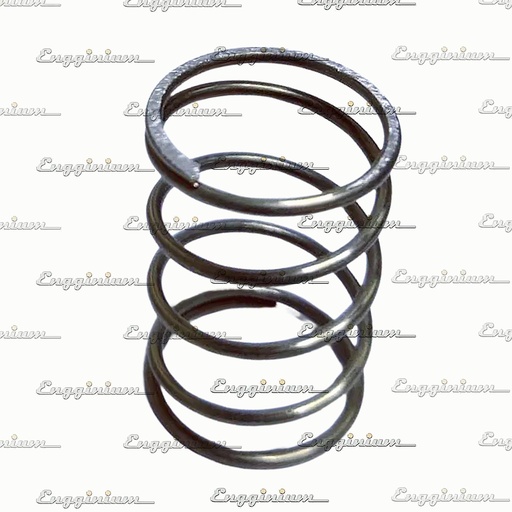124053-Compression spring, PCV [124-0009]