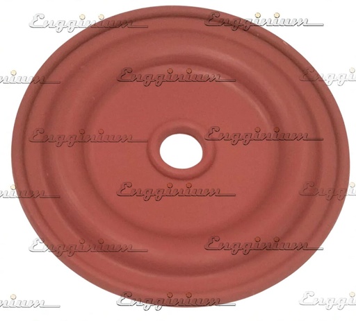 207930-Diaphragm, W34