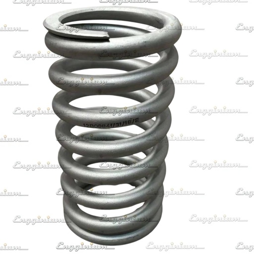 121005/121032-Valve spring outer