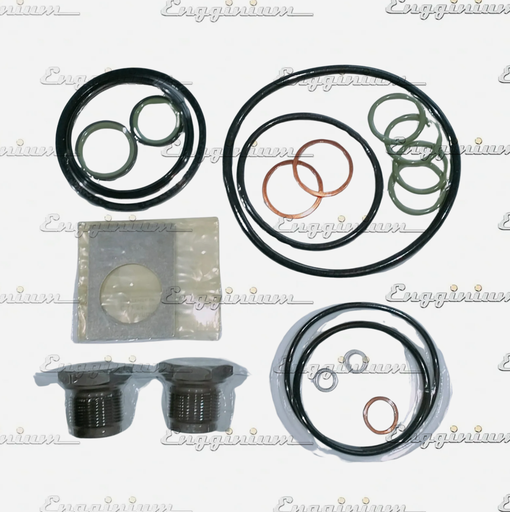 165178-Sealing set for fuel pump, V32 [ALT]