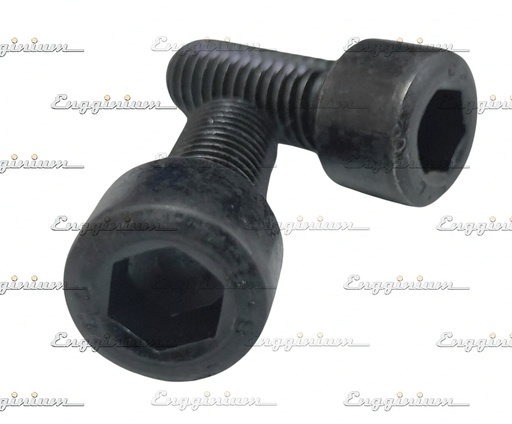 51025-Bearing bolt [VTR354]