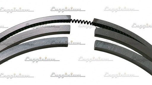 113012-Piston ring set, W20