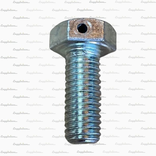 223007-Hex screw, V32 [SK]