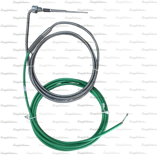 EG Temp. sensor [Threaded, 2m+7m with flying lead]