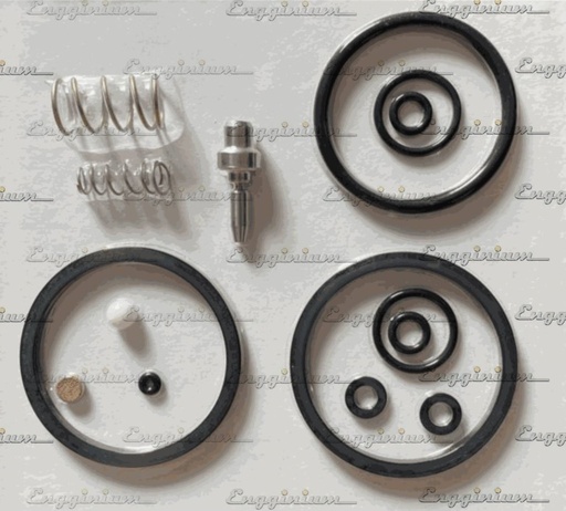 217046-Spare parts & sealing set [Bonnet assembly]
