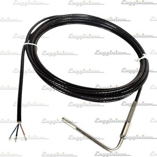 0051D004012-Temp. sensor [6m with flying lead]
