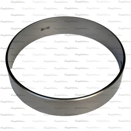 100003-Anti-polishing ring, W20