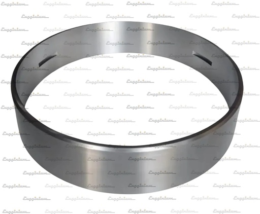 100101-Anti-polishing ring, W46M