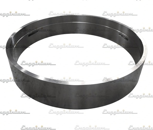 1050007-Anti-polishing ring, W38A [Type1]
